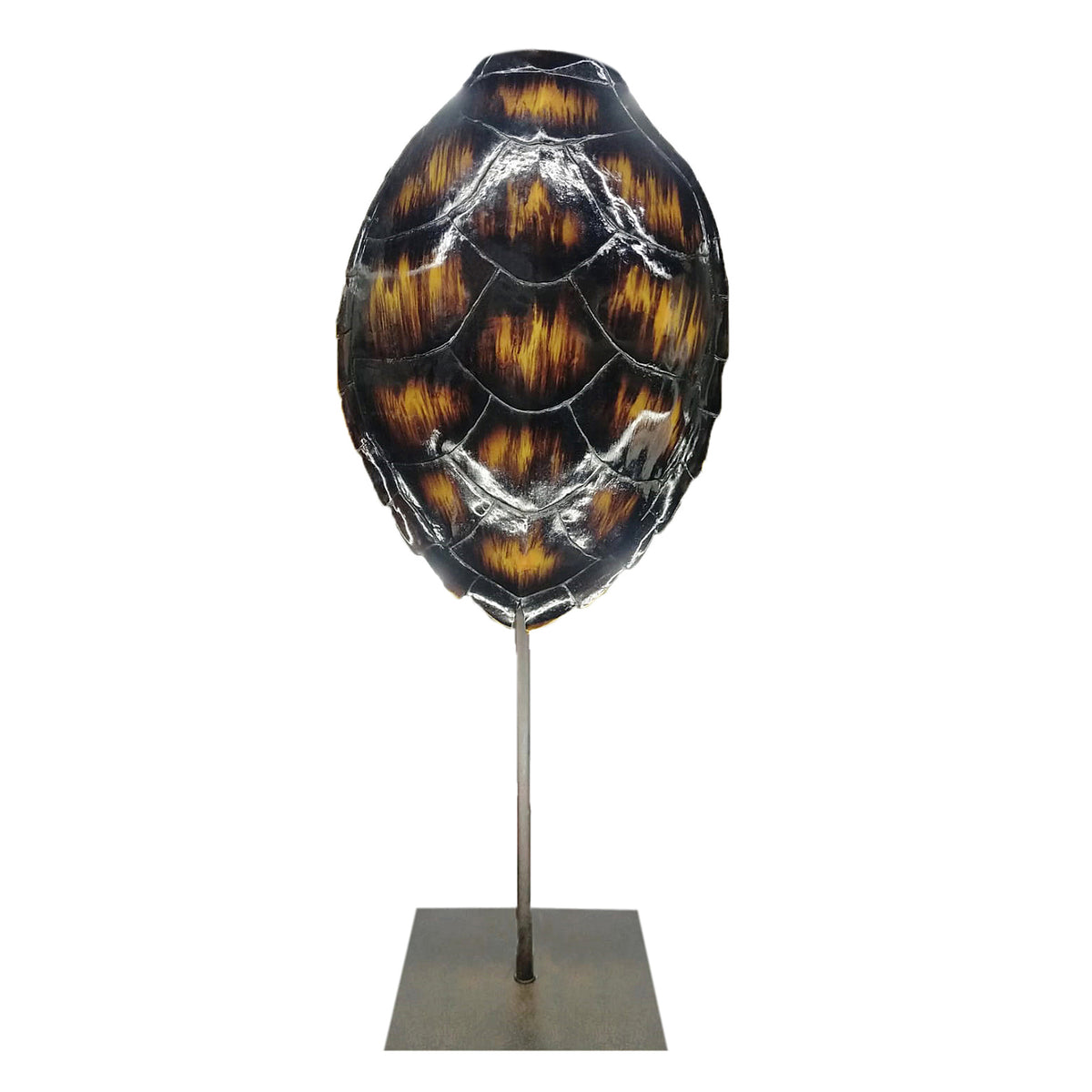 FIGURINE TURTLE STANDING HOME DECOR