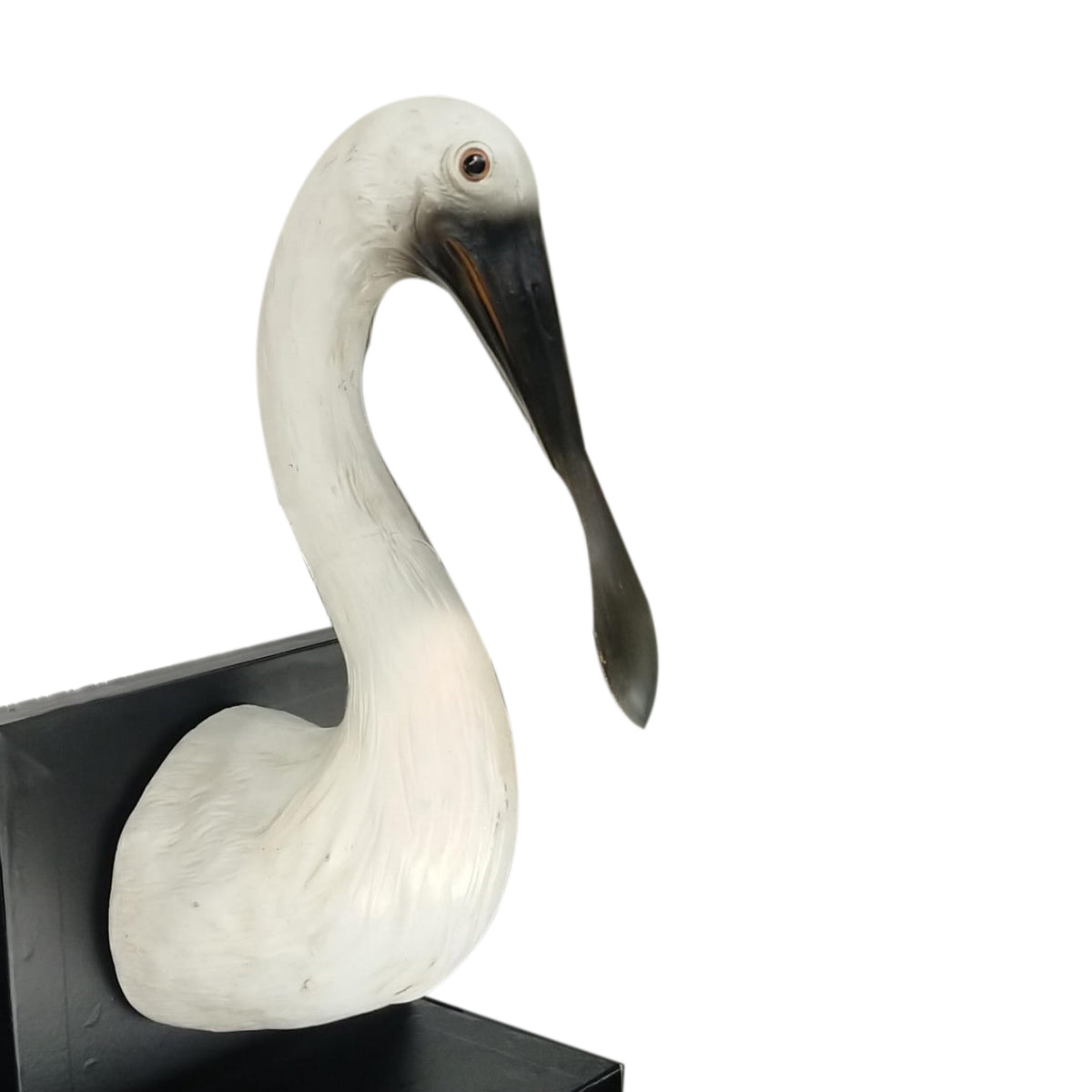 AFRICAN SPOONBILL WALL HOME DECOR