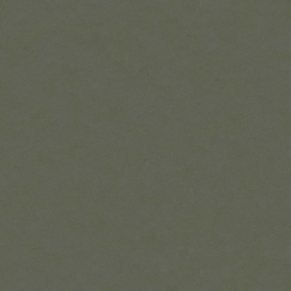 ROBUSTO PLAIN SH.08