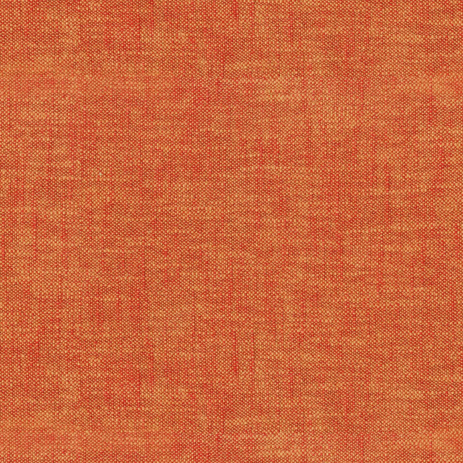 TRINITY APRICOT