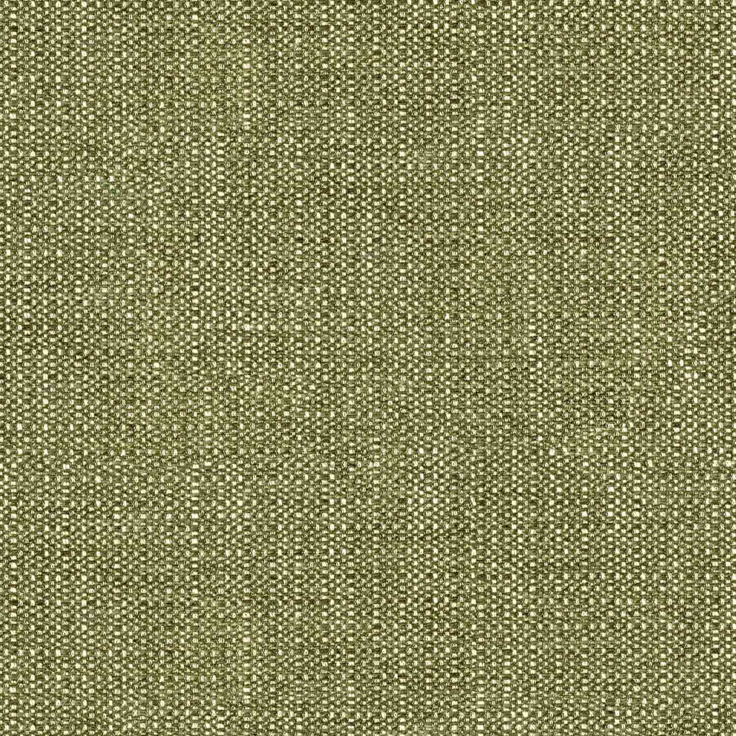 SPIRAL GREEN