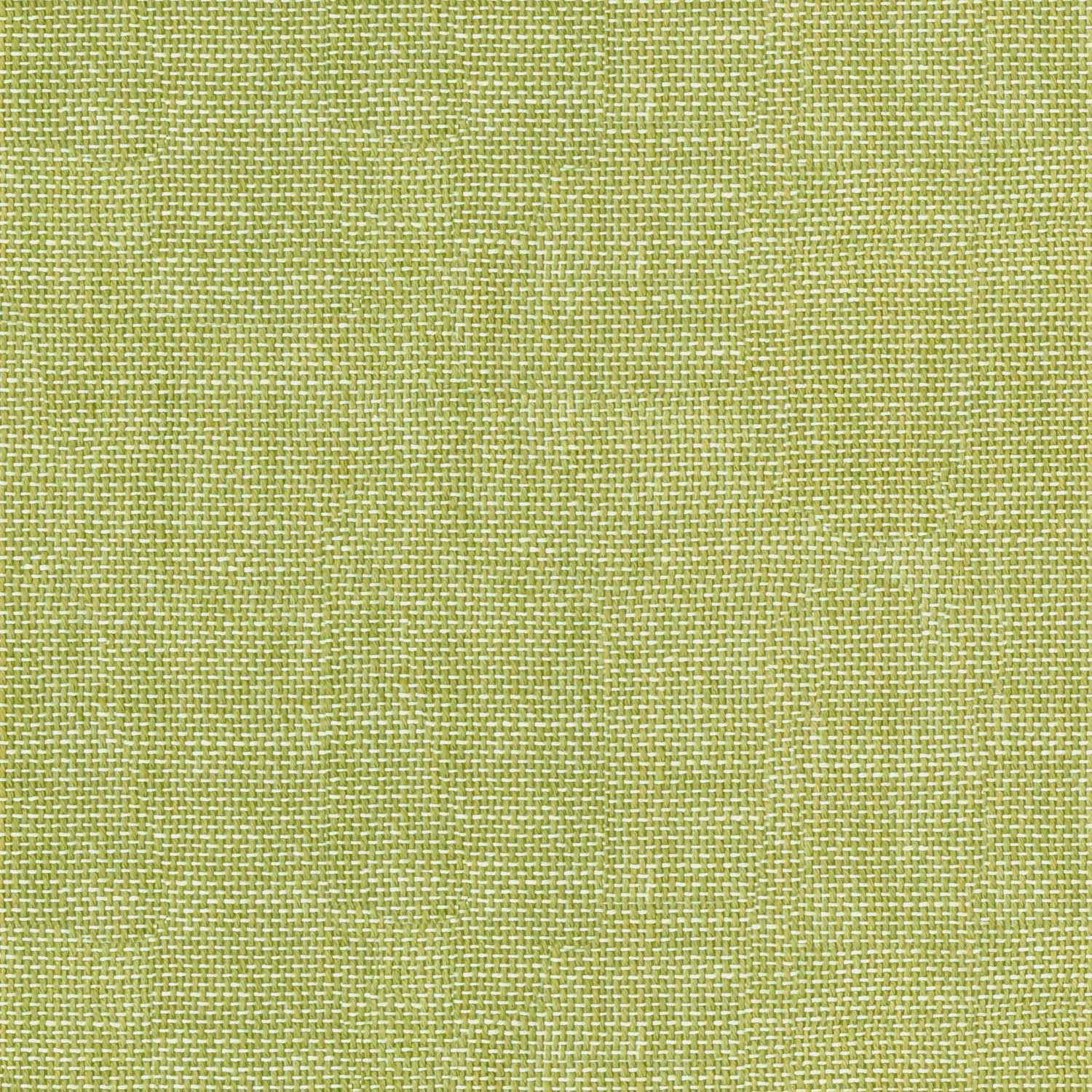 TROPIKALA NATURAL GREEN TEXTURE SOFA FABRIC