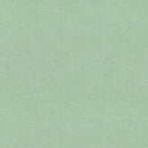 PLUSH VELVETO LIGHT GREEN  PLAIN SOFA FABRIC