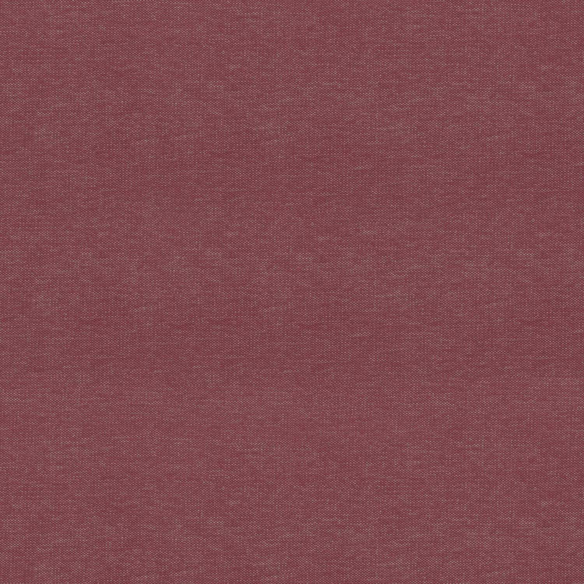 COOP-SYSCA RED COLOR
