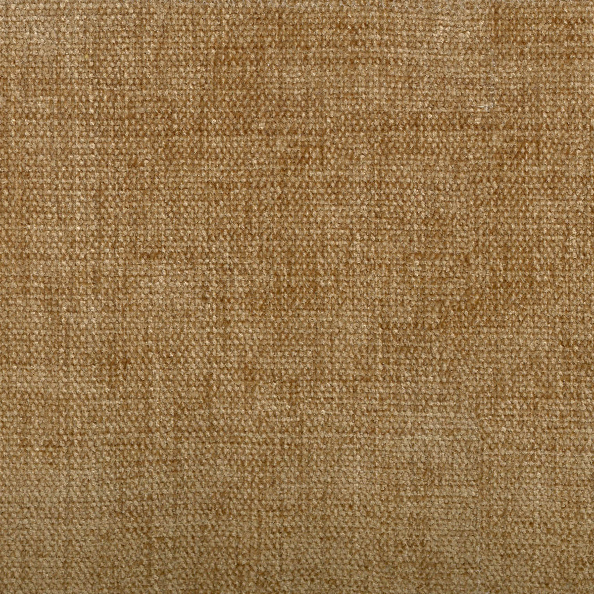1010133240200329-035