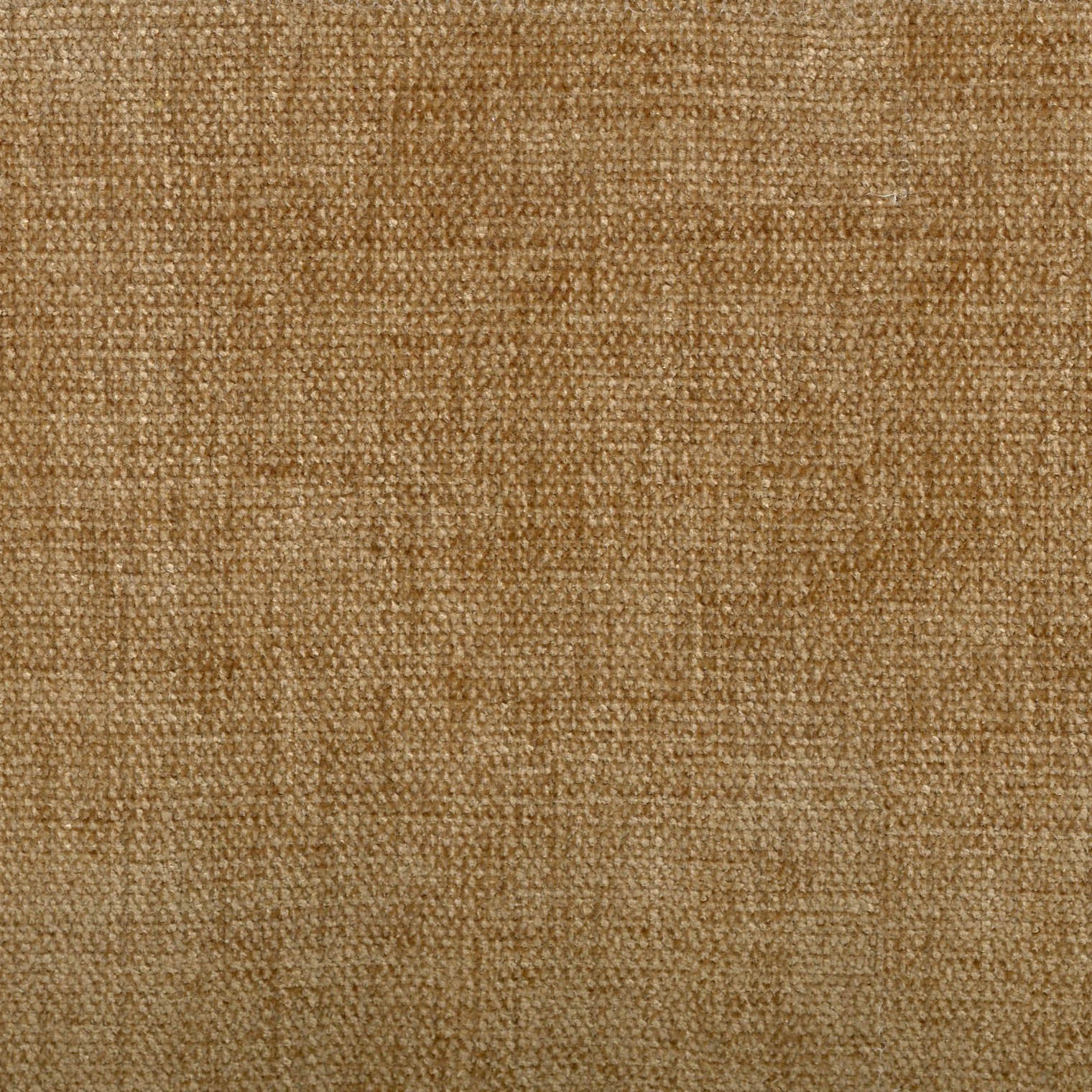1010133240200329-035