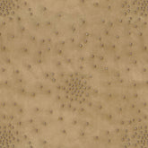 JOSEPH BROWN VELVET DOT CURTAIN FABRIC
