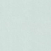 DILETTA LIGHT GREEN PLAIN CURTAIN FABRIC