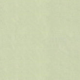 DILETTA GREEN PLAIN CURTAIN FABRIC