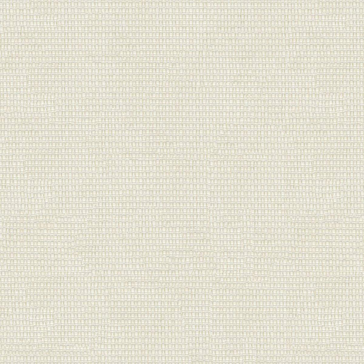 D BEIGE PLAIN SHEER FABRIC