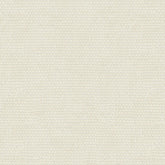 D BEIGE PLAIN SHEER FABRIC
