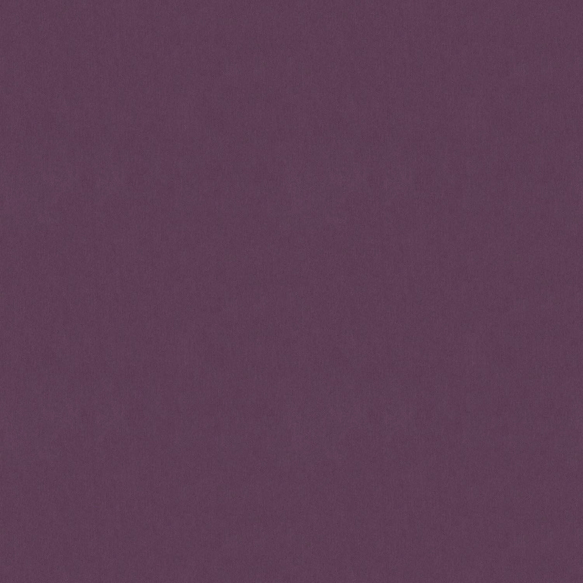 DYED PURPLE BLACKOUT 60%