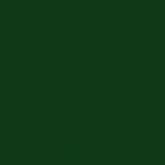 URBANE GREEN PLAIN CURTAIN FABRIC