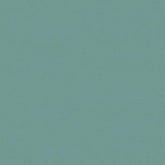 URBANE LIGHT GREEN PLAIN CURTAIN FABRIC