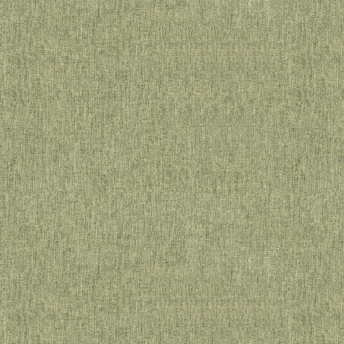 TEXTURE OLIVE GREEN ETHAN