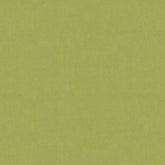 SAPPHIRE FIFTEEN GREEN PLAIN SOFA FABRIC