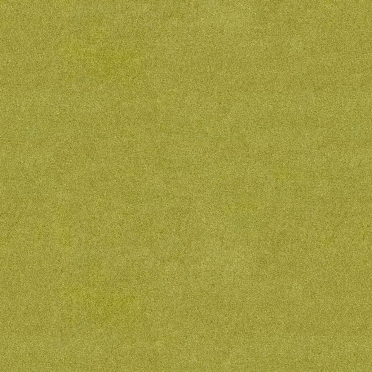 PLUSH VELVETO PARROT PLAIN SOFA FABRIC