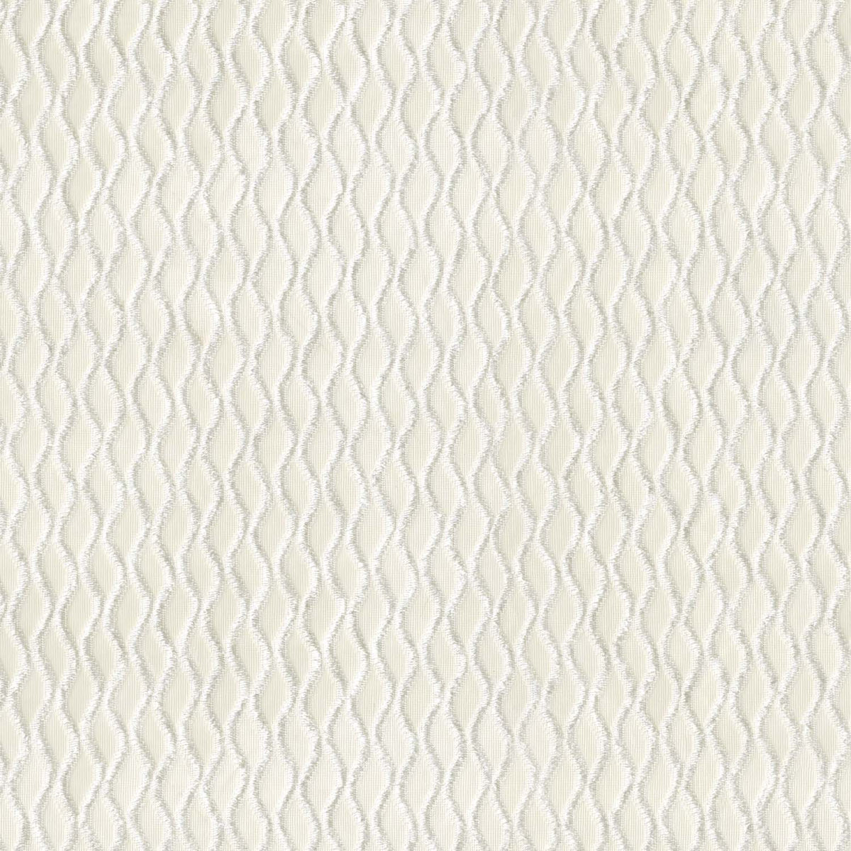 PROXIMA CREAM