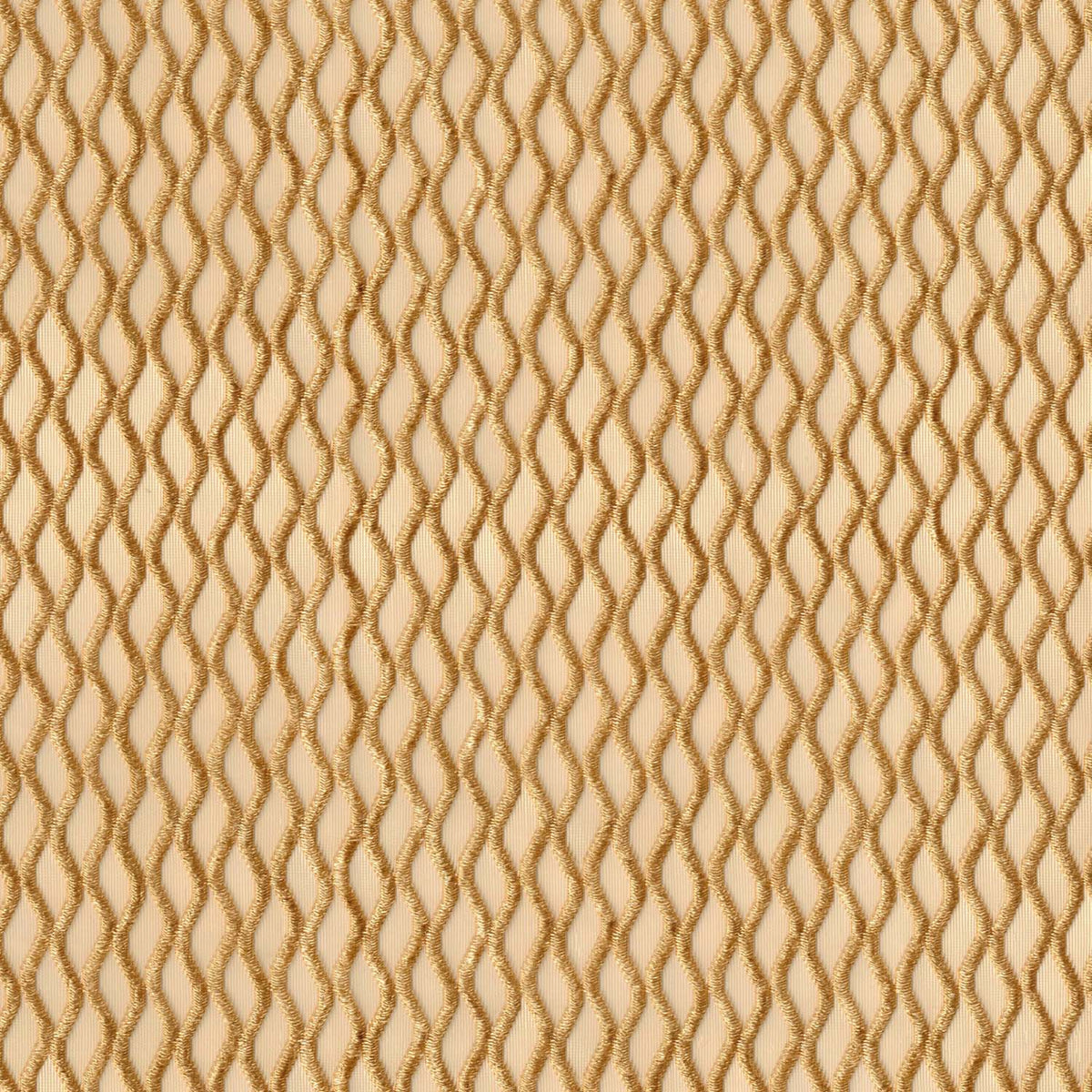 PROXIMA BISCUIT