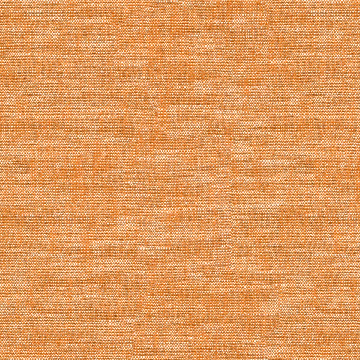 TRINITY CORAL