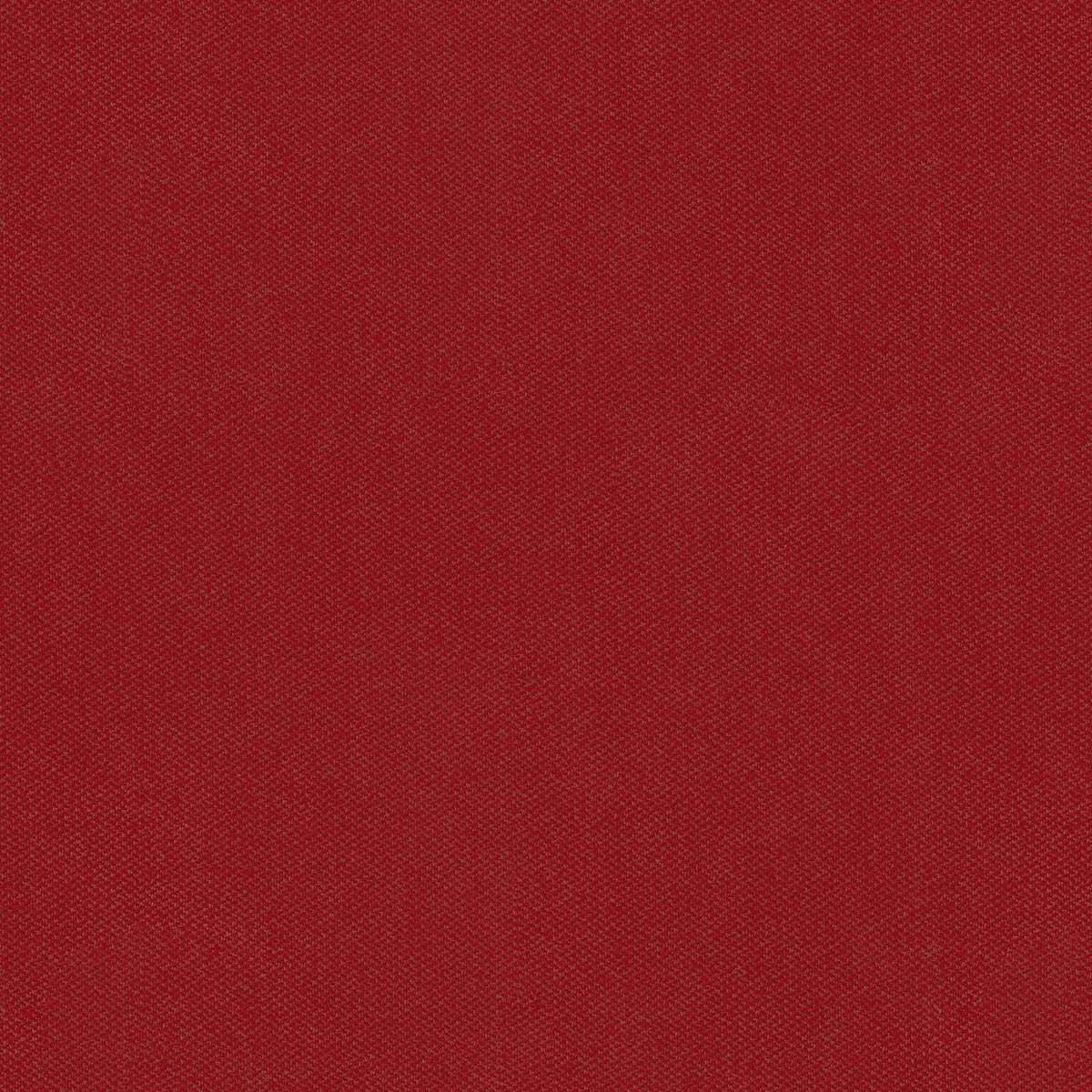 KASPER RED