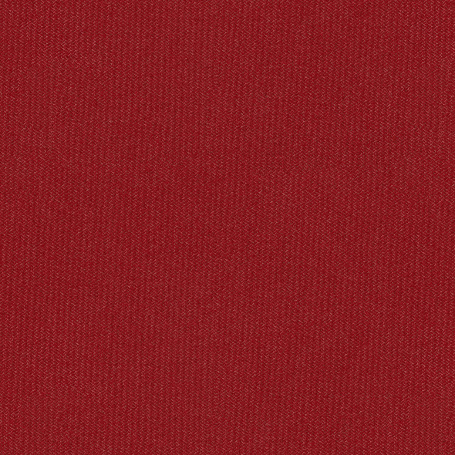 KASPER RED