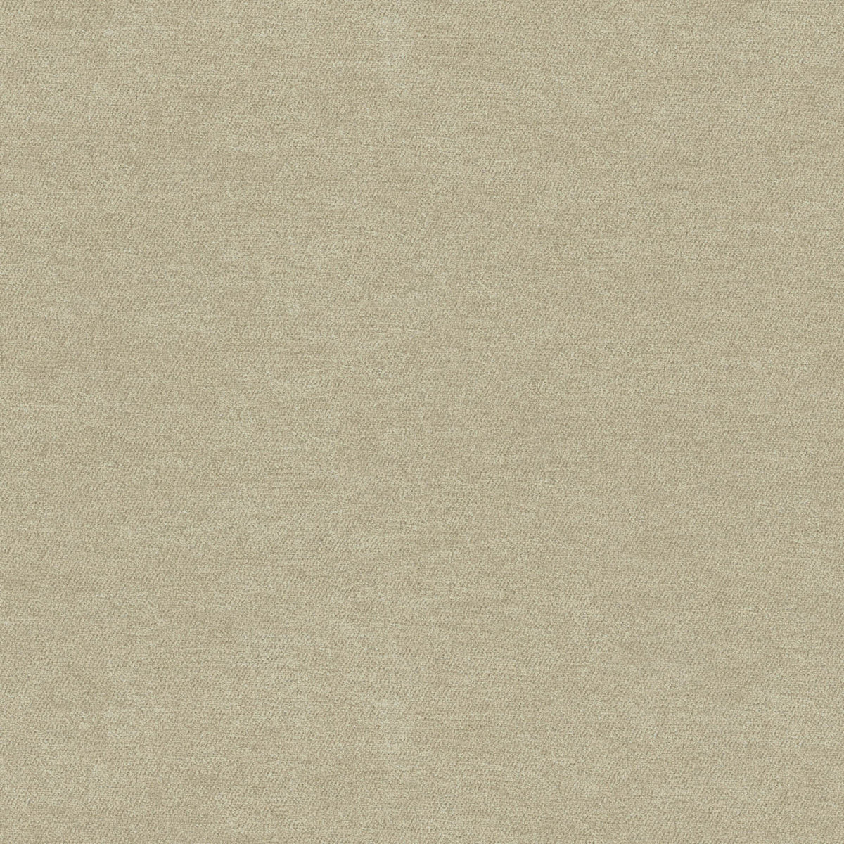 FSTV LIGHT BROWN PLAIN SOFA FABRIC