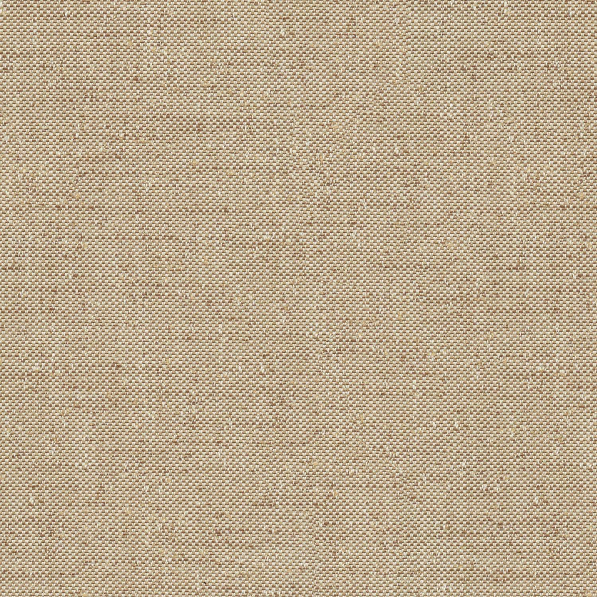 DSM LIGHT BROWN TEXTURE SOFA FABRIC
