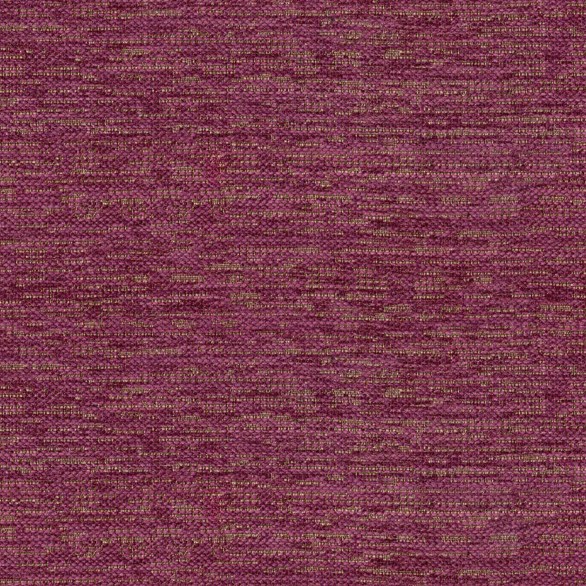 NAPA 175