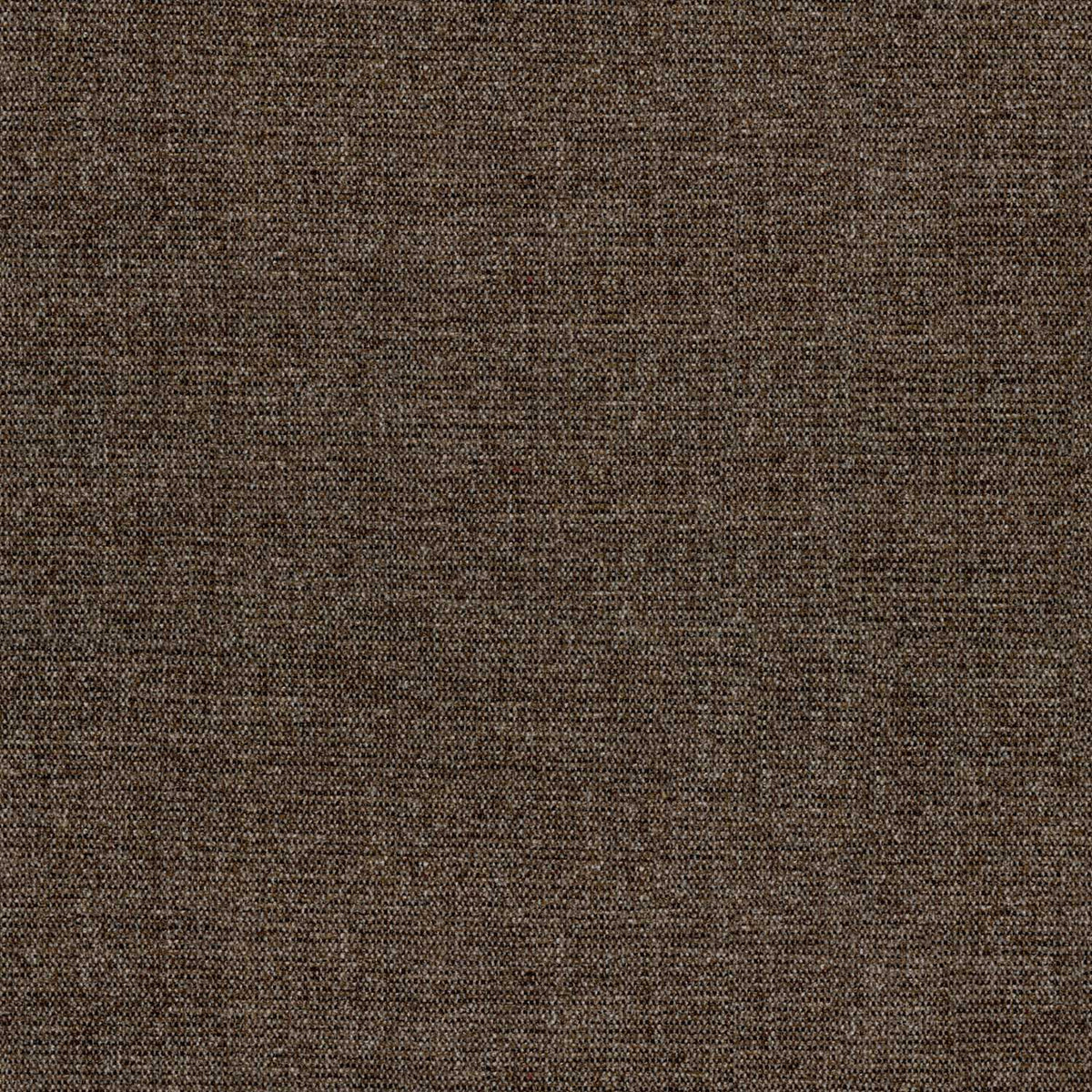 DOMLINA CONGO BROWN