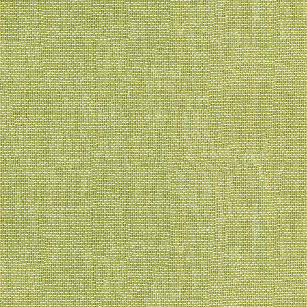 TROPIKALA NATURAL GREEN TEXTURE SOFA FABRIC