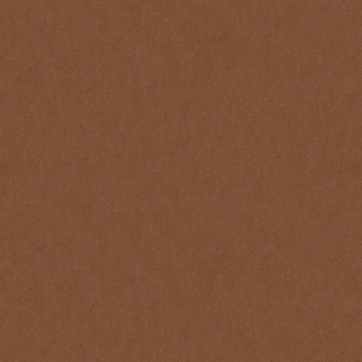 PIXEL EDISON S.NO.212