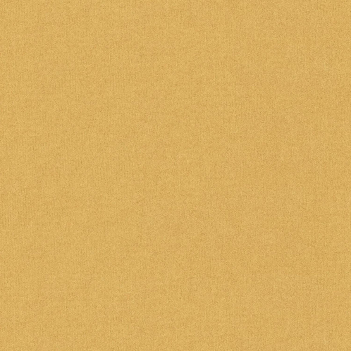 PIXEL EDISON S.NO.204