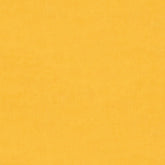 PIXEL EDISON S.NO.221